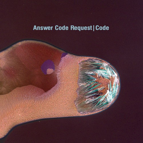 Code