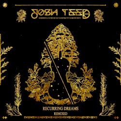 Recurring Dreams (Lowcation remix)