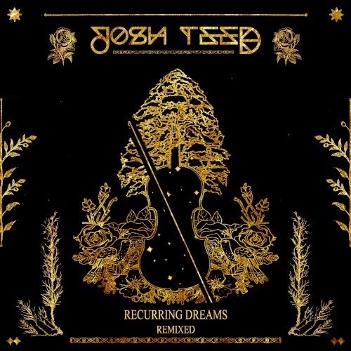 Recurring Dreams (Lowcation remix)