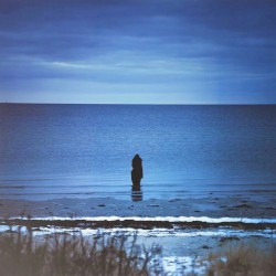 Catalogue / Preserve / Amass