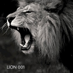 Mere Sher V.I.P / Danny Scrilla Remix