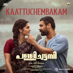 Kaattuchembakam