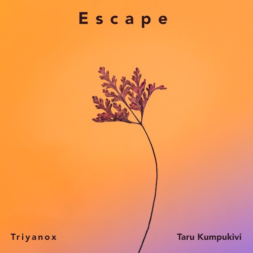 Escape