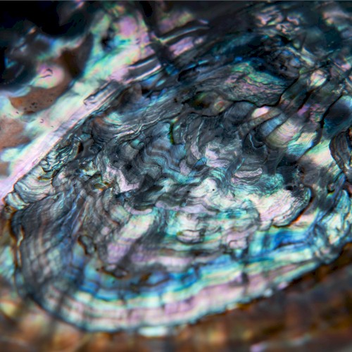 Supernova