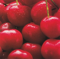 Remixes