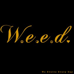 We Evolve Every Day