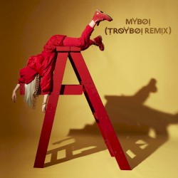 MyBoi (TroyBoi remix)