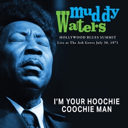 The World of Muddy Waters / I'm Your Hoochie Coochie Man