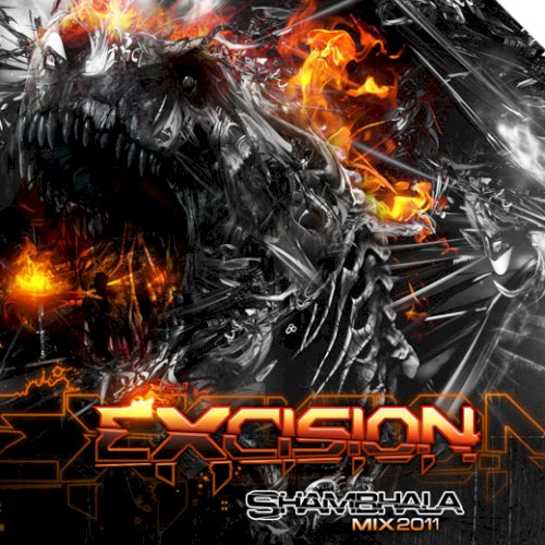 Shambhala 2011 Mix