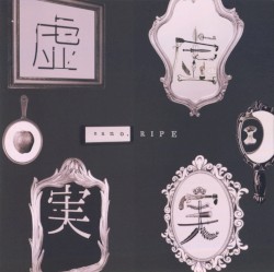 虚虚実実