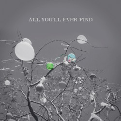 All You'll Ever Find