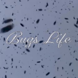 Bugs Life