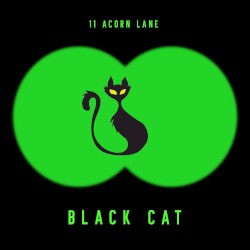 Black Cat