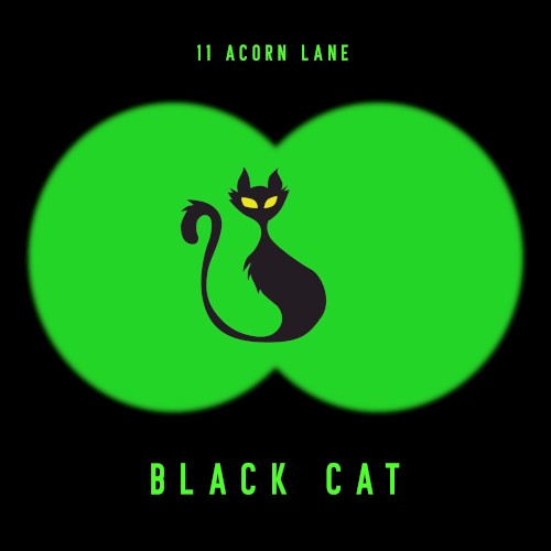 Black Cat