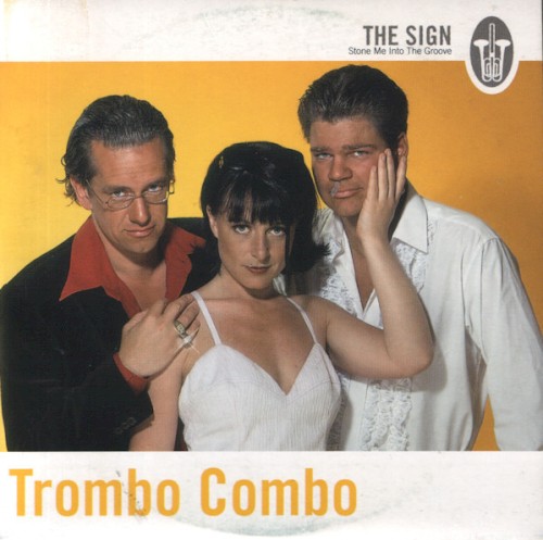 The Sign / Stone Me Into the Groove