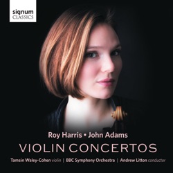 Violin Concertos