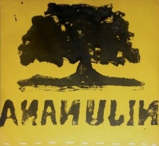 Ananujin