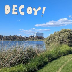 Decoy!