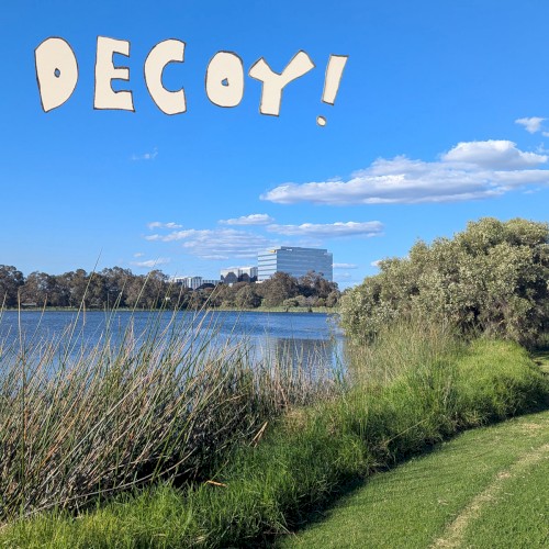 Decoy!
