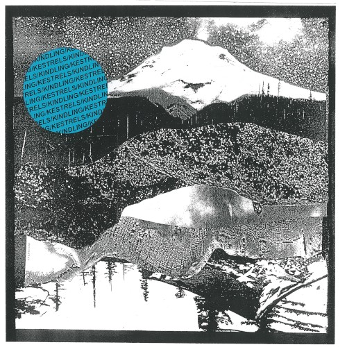 Kindling / Kestrels Split