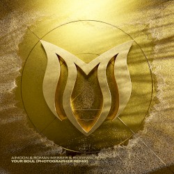 Your Soul (Photographer Remix)