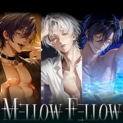 MΞLLOW FΞLLOW (にしき×だいきり×たちばな)