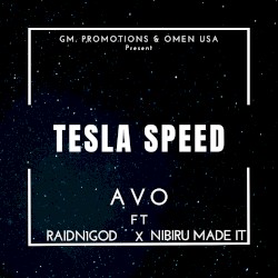 Tesla Speed