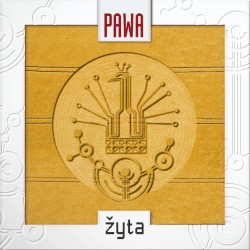 Žyta