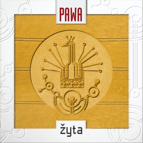 Žyta