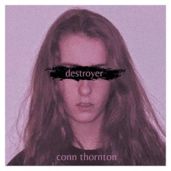 Destroyer
