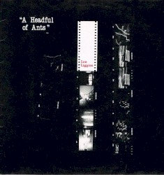 A Headful of Ants