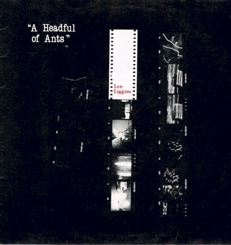 A Headful of Ants