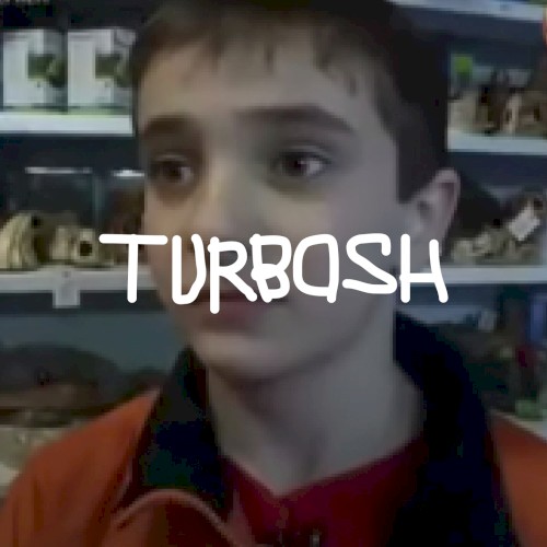 Ящерица