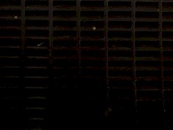 Recline (116 Minute EP)
