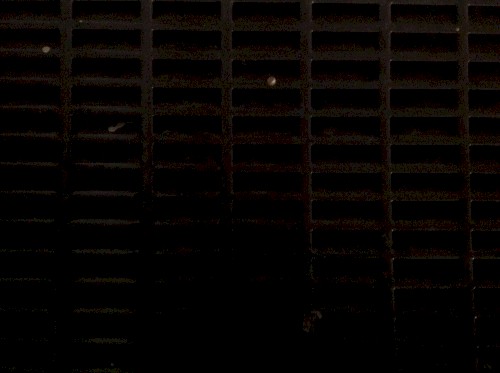 Recline (116 Minute EP)