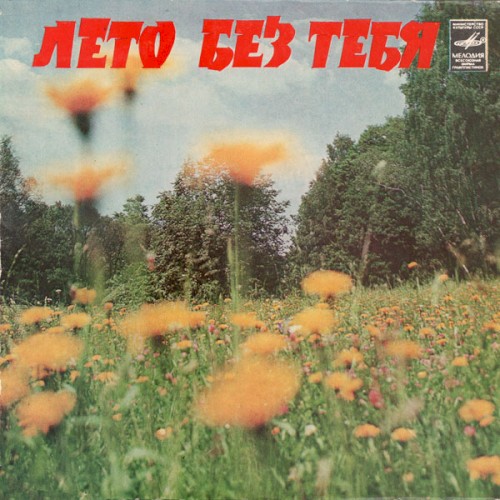 Лето без тебя