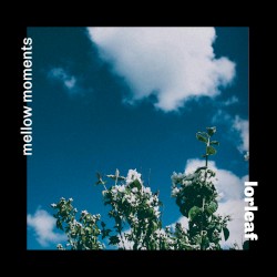 Mellow Moments