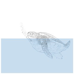 [untitled]