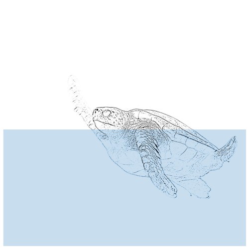[untitled]