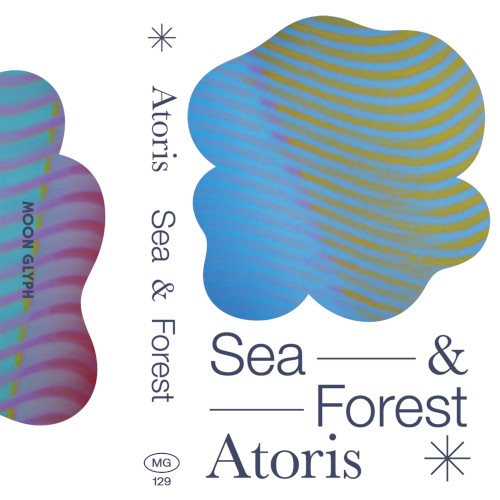 Sea & Forest