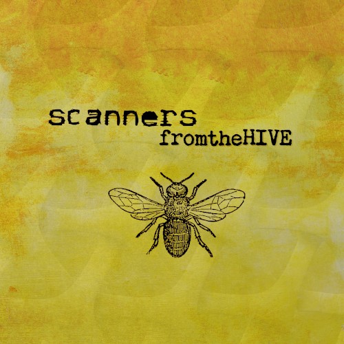 From The Hive
