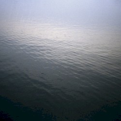 Rest In You