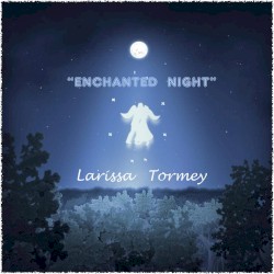 Enchanted Night