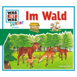 Im Wald