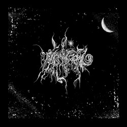 Through the Dark: Demo Collections MMXVIII - MMXX