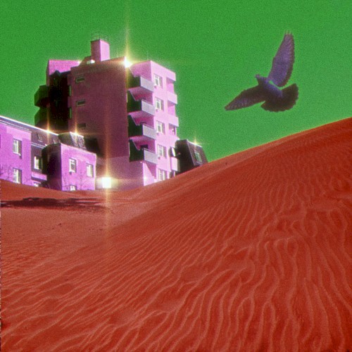 FREEDOM