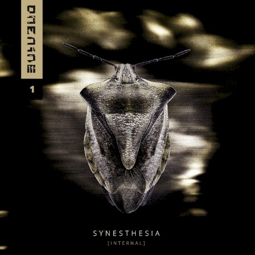 SYNESTHESIA [INTERNAL]