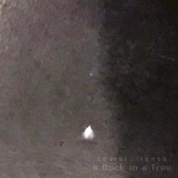 A Duck in a Tree #366, "Peak Ending"