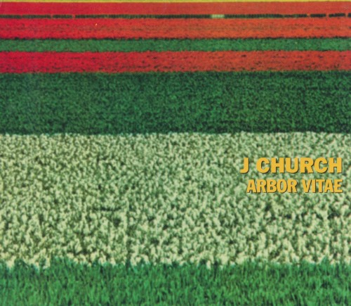 Arbor Vitae