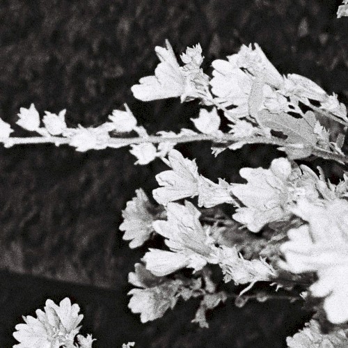 hard drive songs